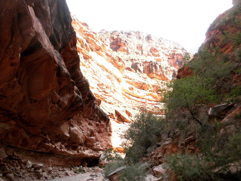 havasu513 075.JPG