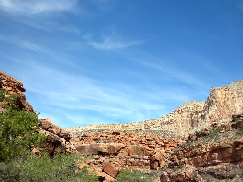 havasu513 040.JPG