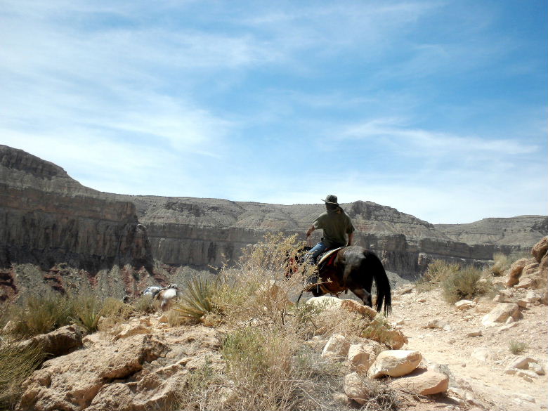 havasu513 021.JPG