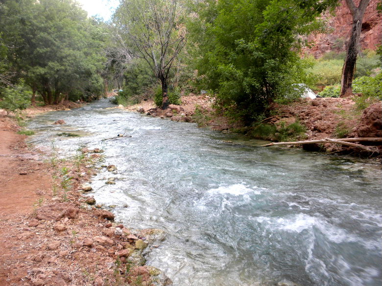 havasu513 144.JPG