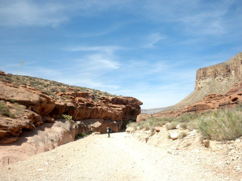 havasu513 026.JPG