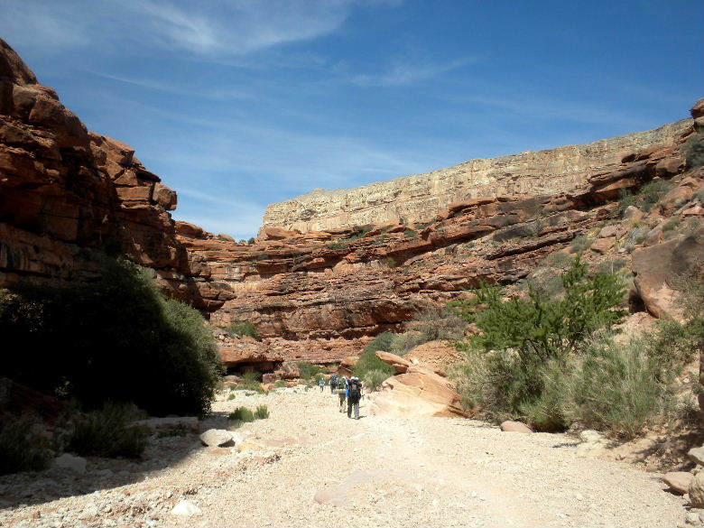 havasu513 043.JPG