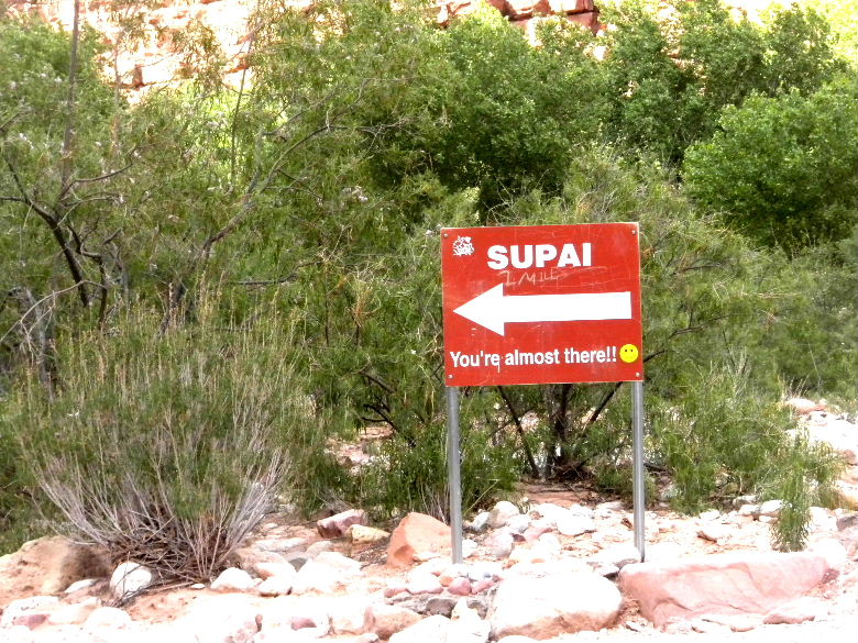 havasu513 086.JPG