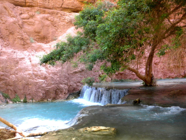 havasu513 224.JPG