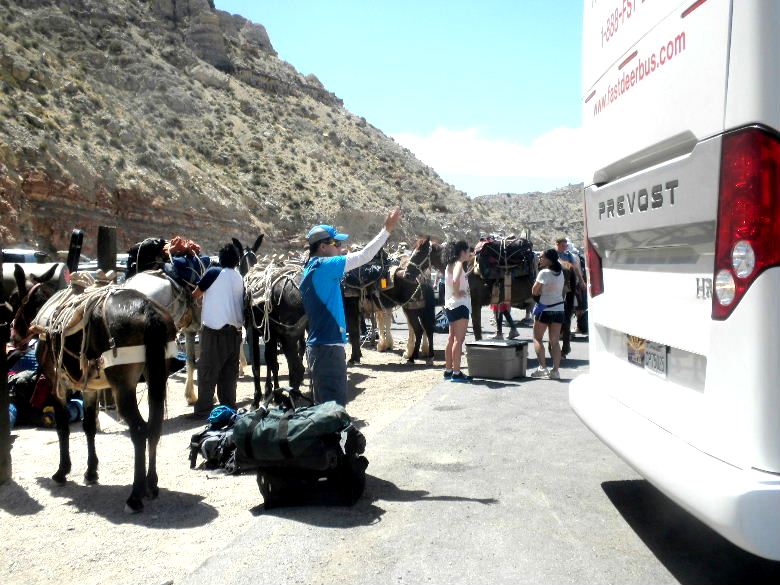 havasu513 348.JPG