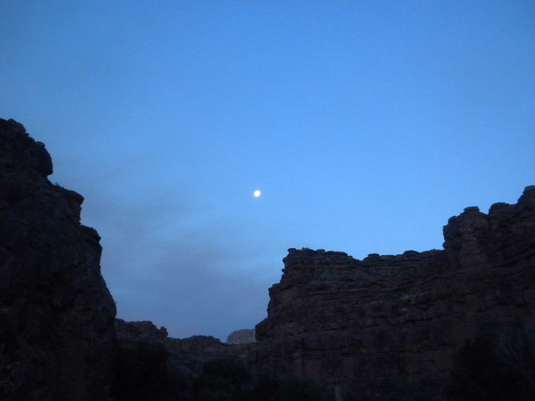 havasu513 331.JPG
