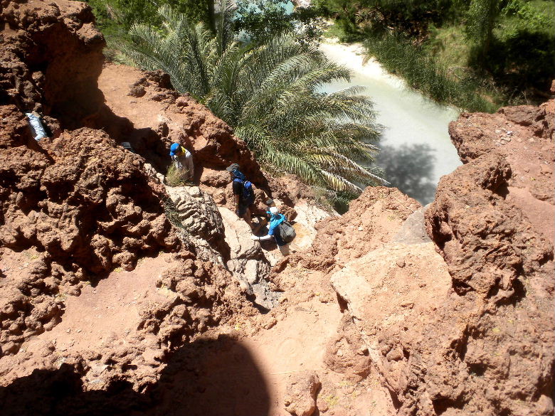 havasu513 254.JPG