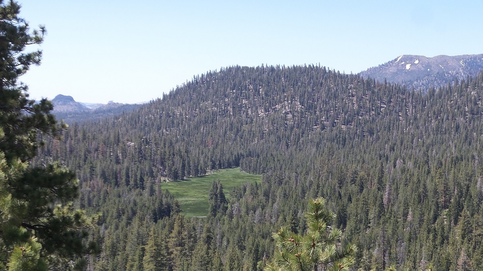 nature 4.jpg