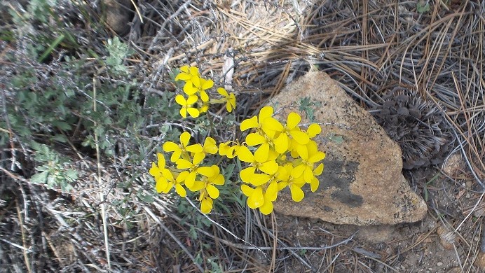 natuere10.jpg
