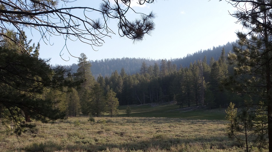 nature1.jpg