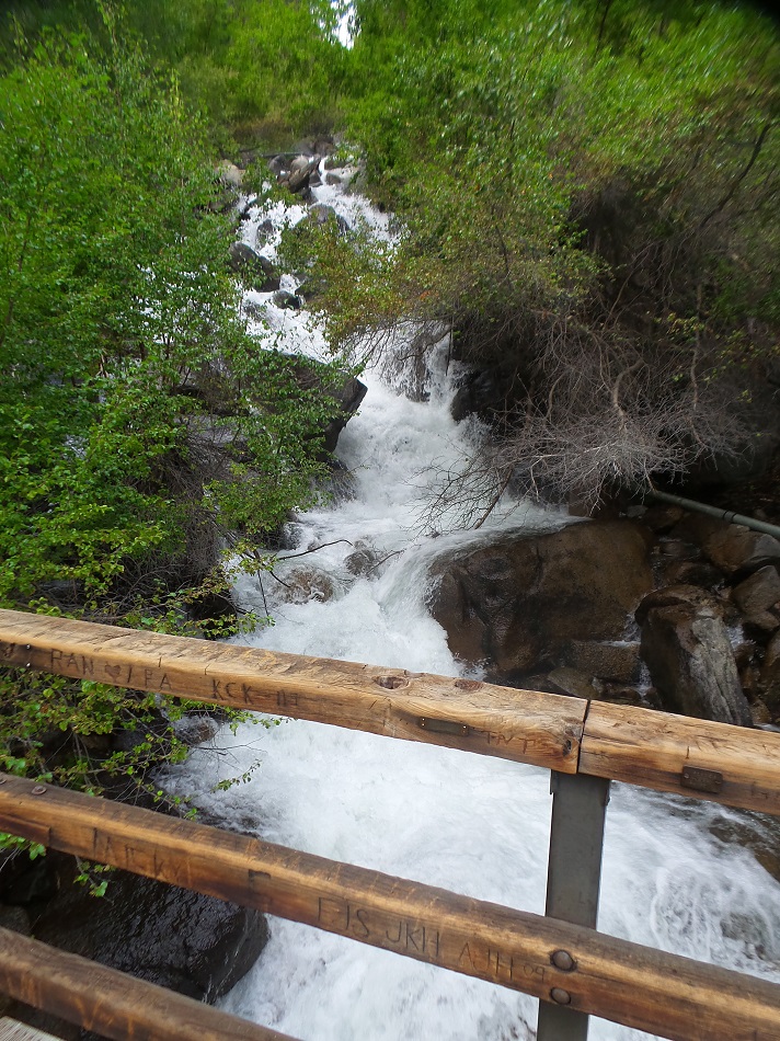 N14.jpg