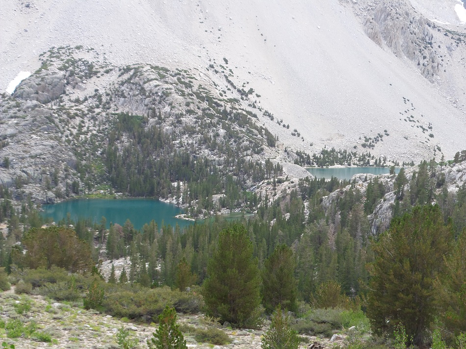 N18.jpg