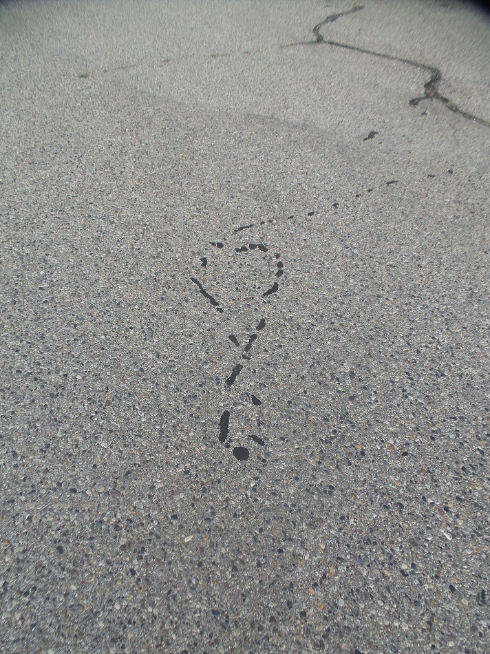 20170902_173400.jpg
