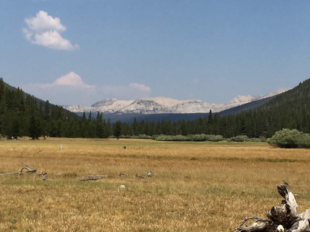 20160818_132046639.jpg