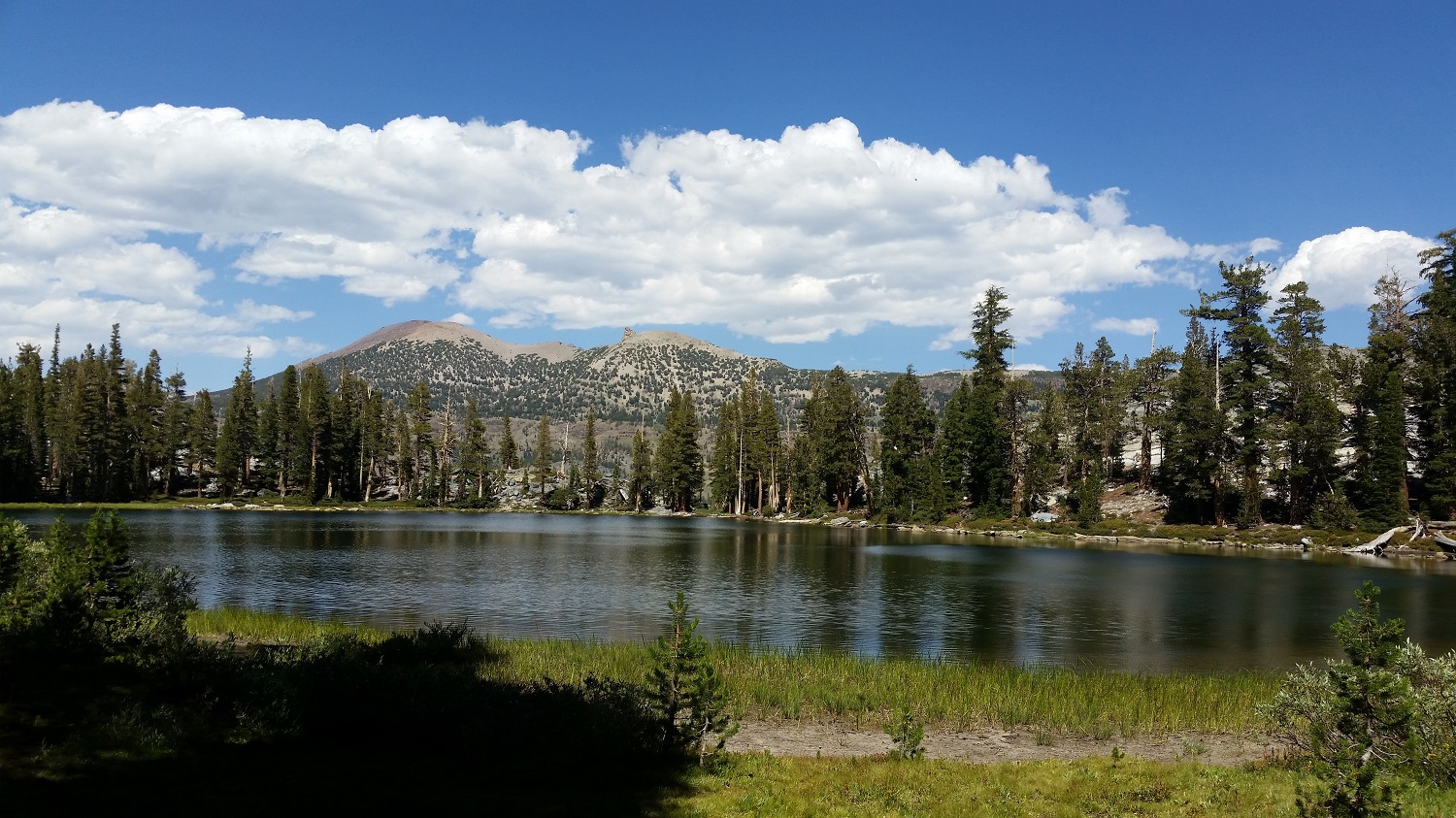20160816_142102.jpg