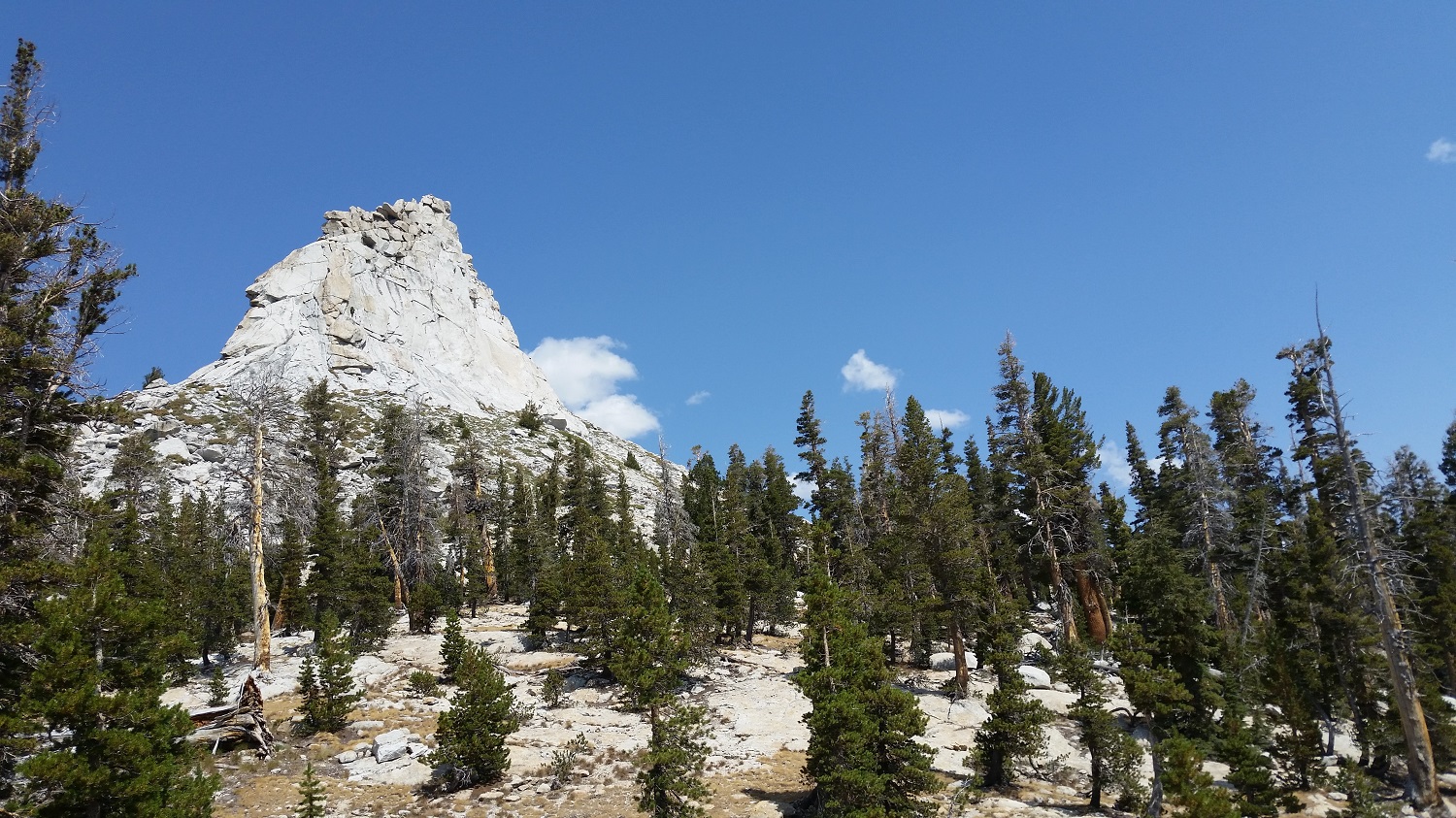 20160819_112857.jpg
