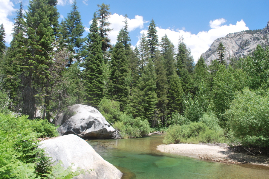 Kings Canyon 572.jpg