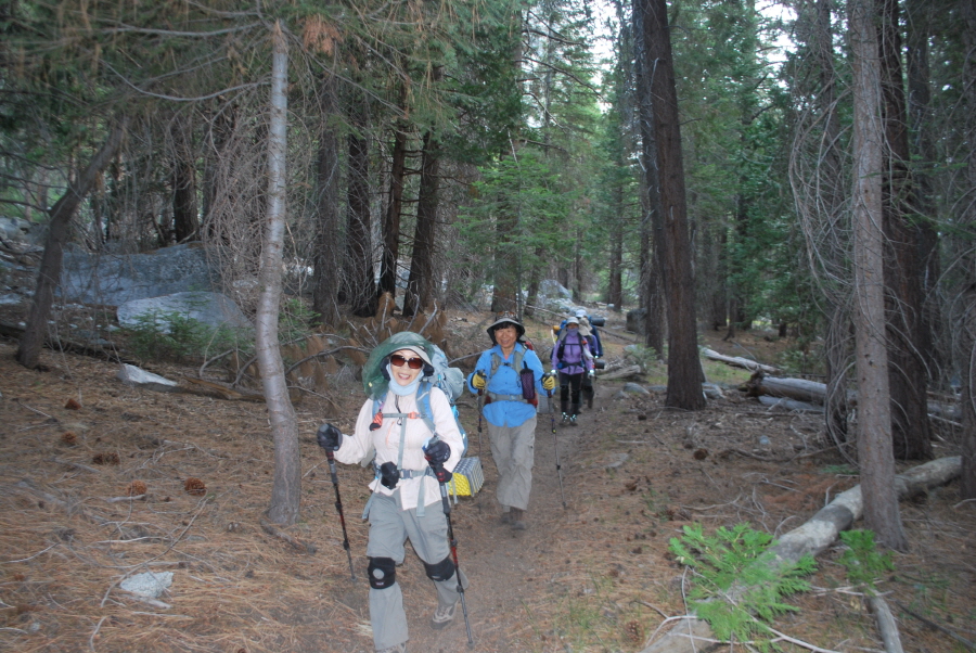 Kings Canyon 653.jpg