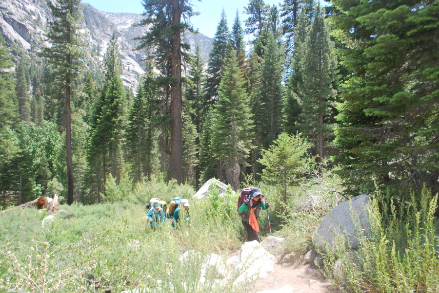 Kings Canyon 580.jpg