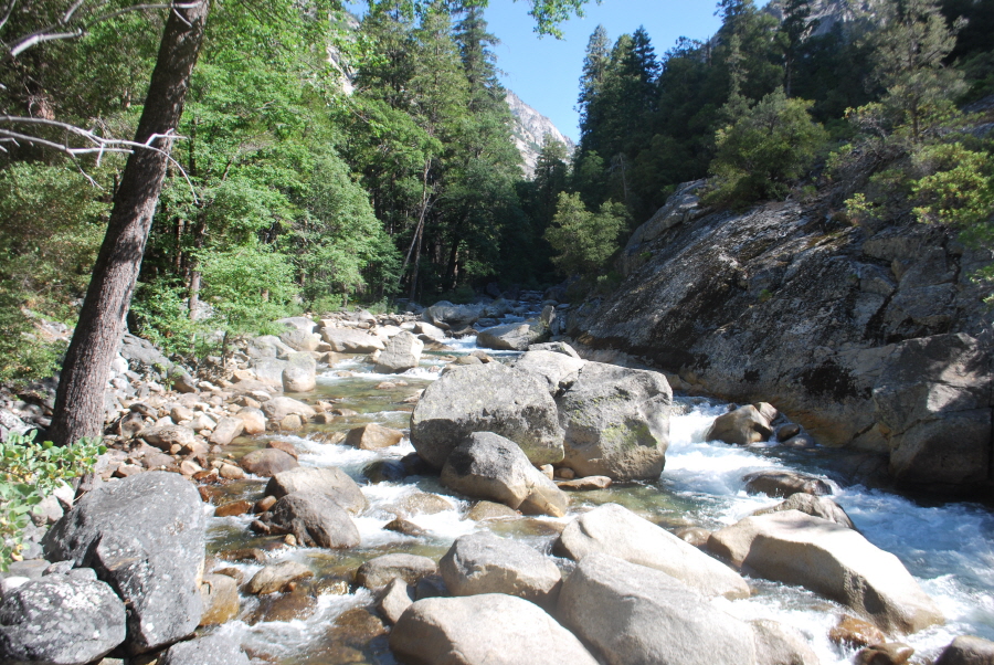 Kings Canyon 509.jpg