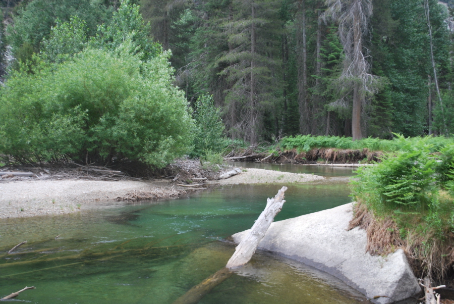 Kings Canyon 660.jpg