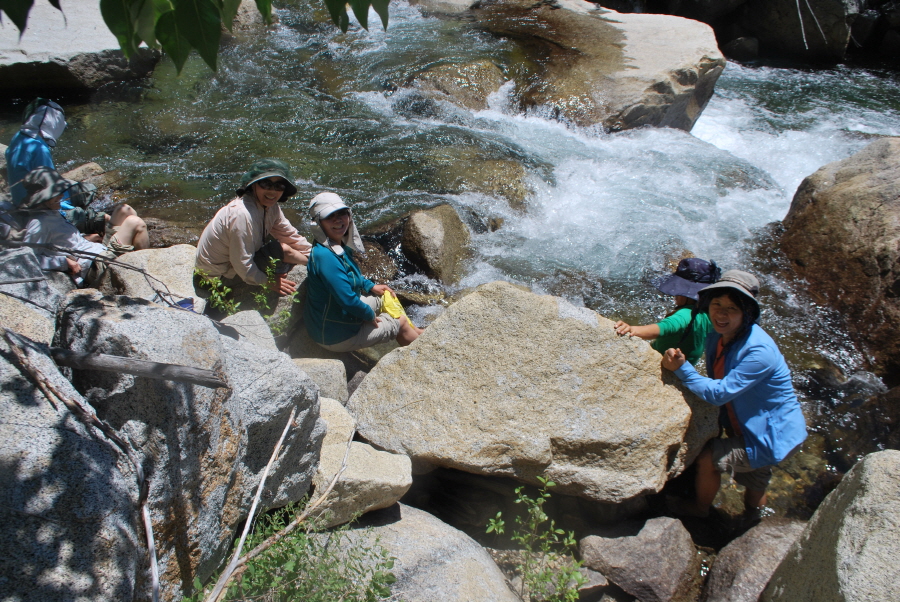 Kings Canyon 560.jpg