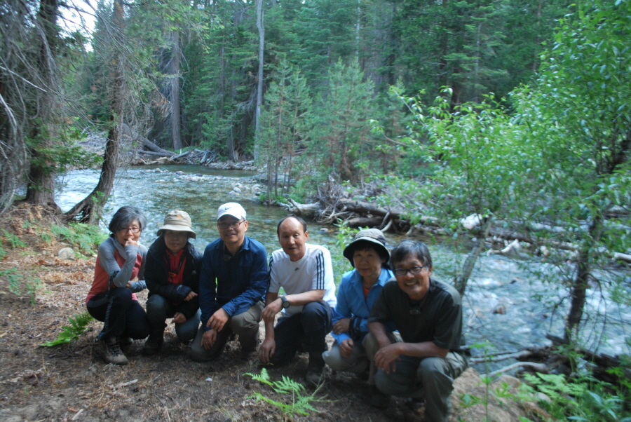 Kings Canyon 619.jpg
