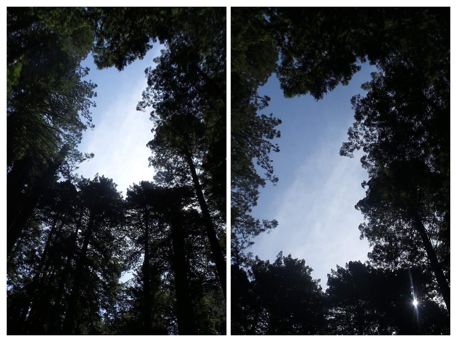 20160529_101705-COLLAGE.jpg