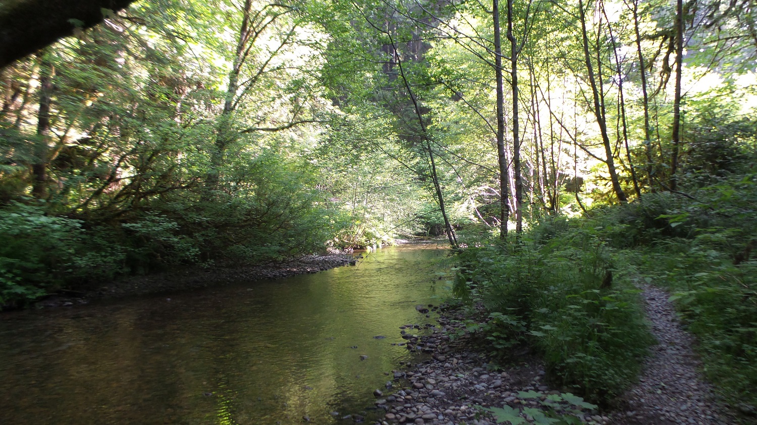 20160529_083336.jpg