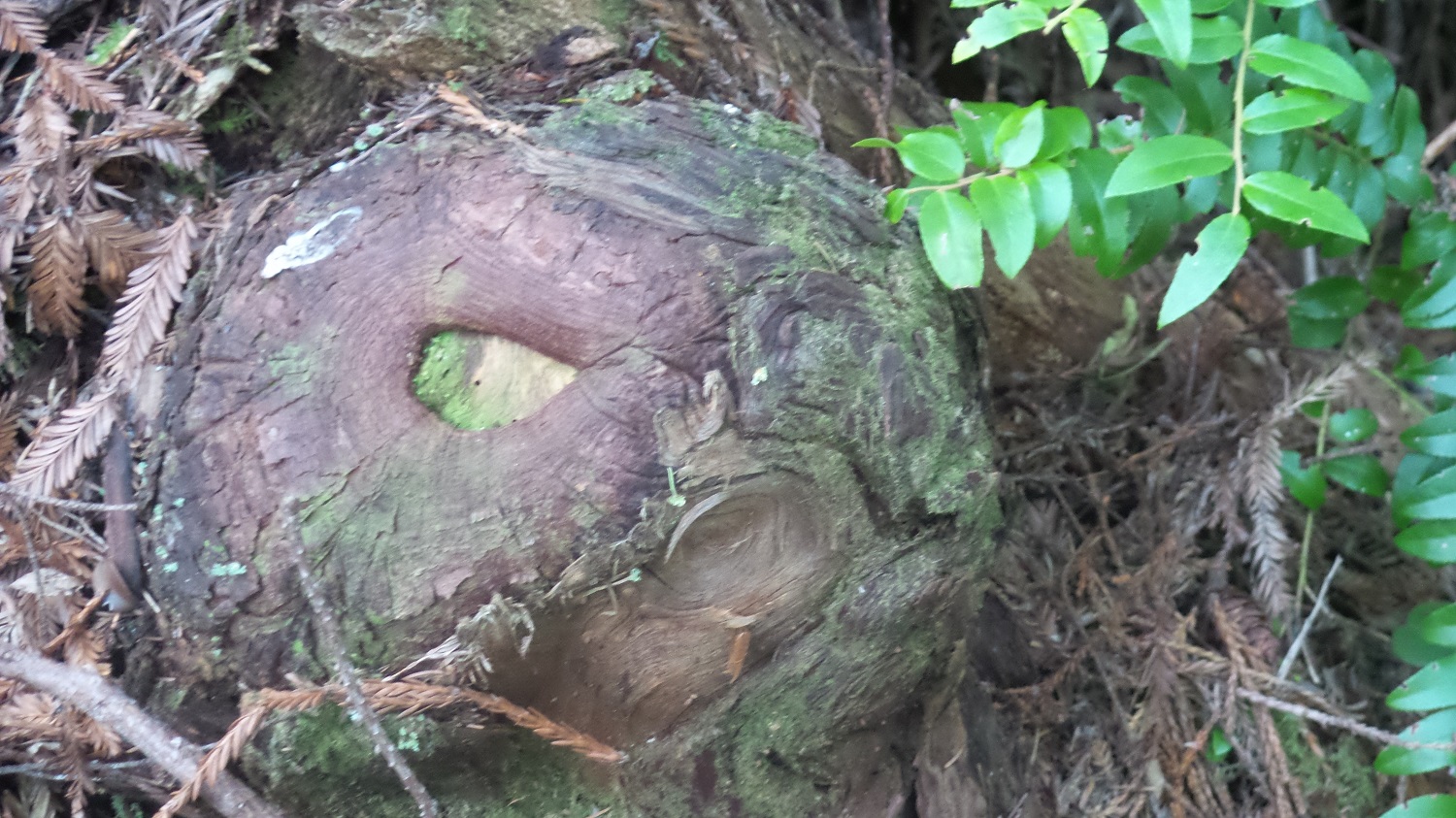20160529_090937.jpg