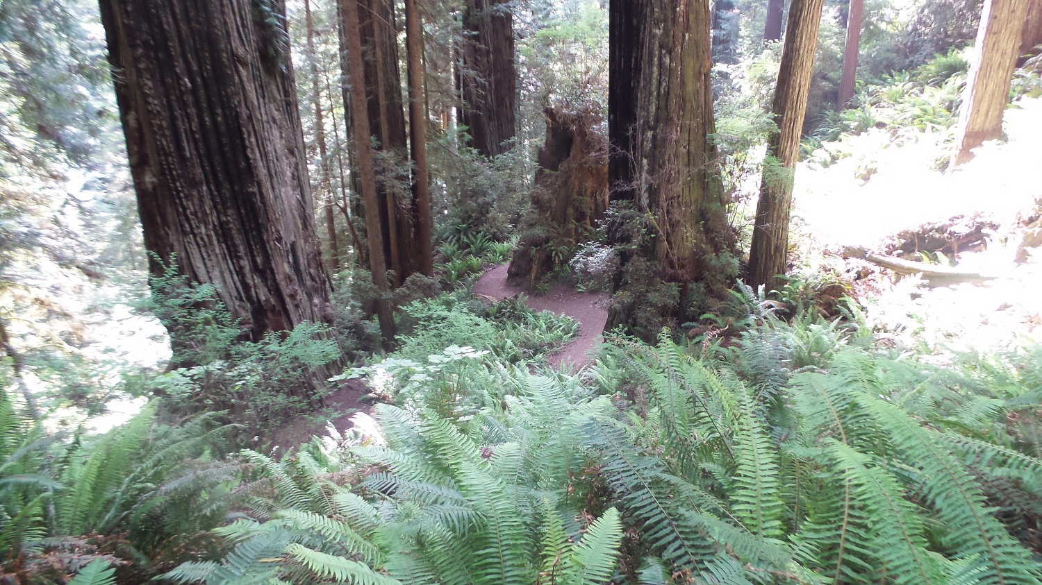 20160529_090029.jpg