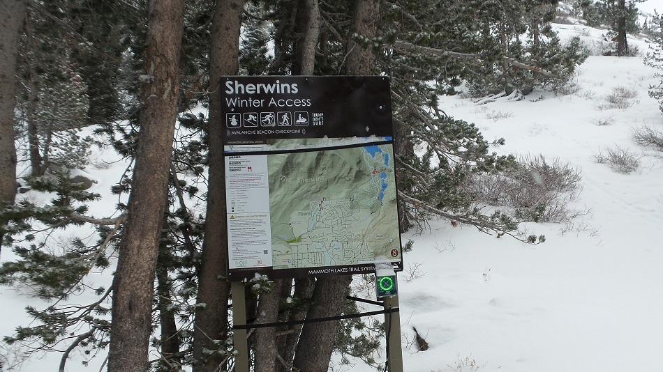 S1.jpg