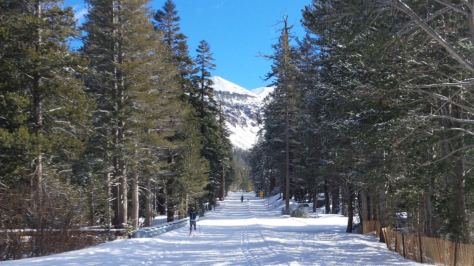 N8.jpg
