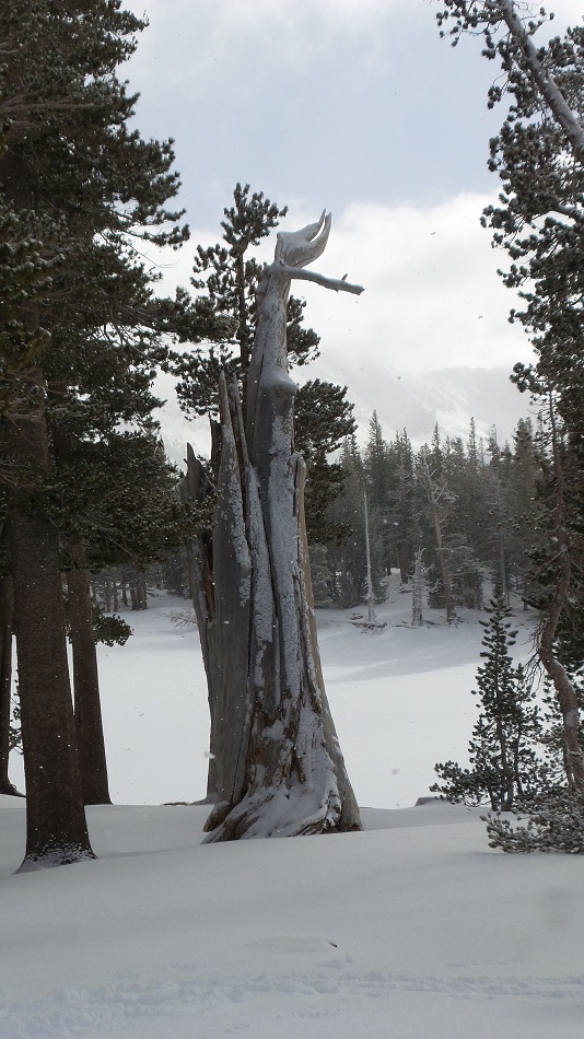 N12.jpg