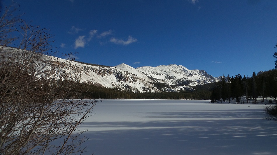 N11.jpg