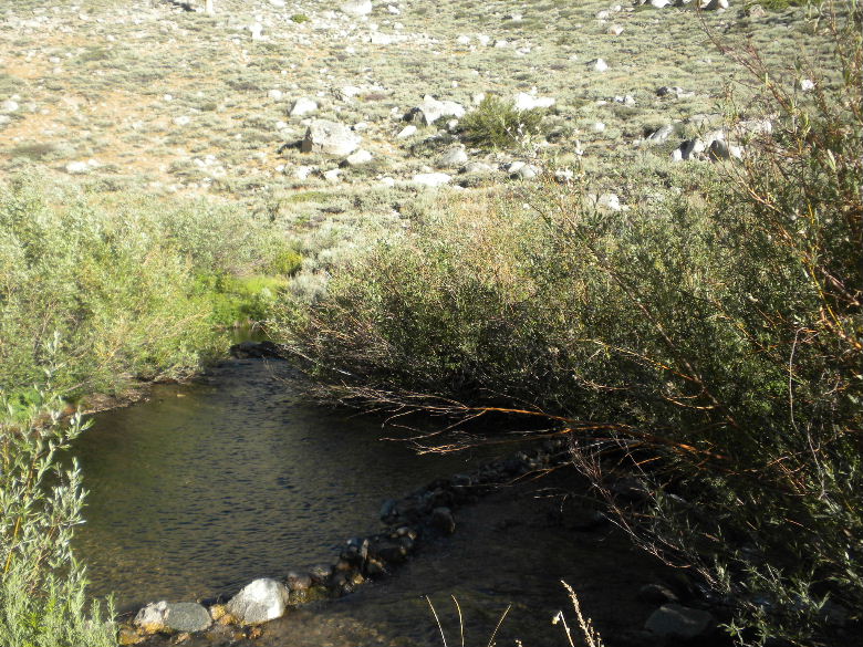 onionvalley62402 086.JPG