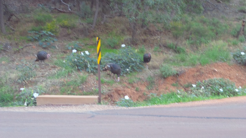 N8.jpg