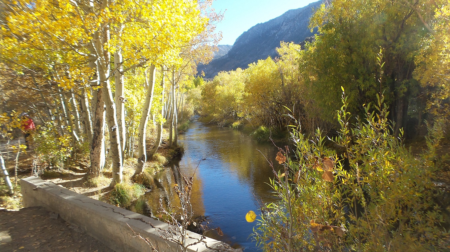 20161009_160408.jpg