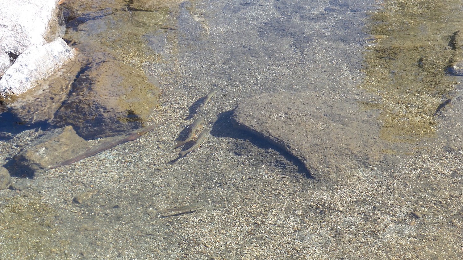20161009_120817.jpg