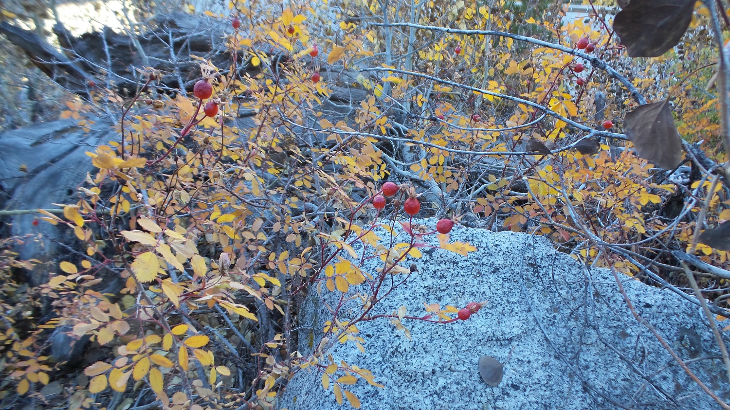 20161009_085809.jpg