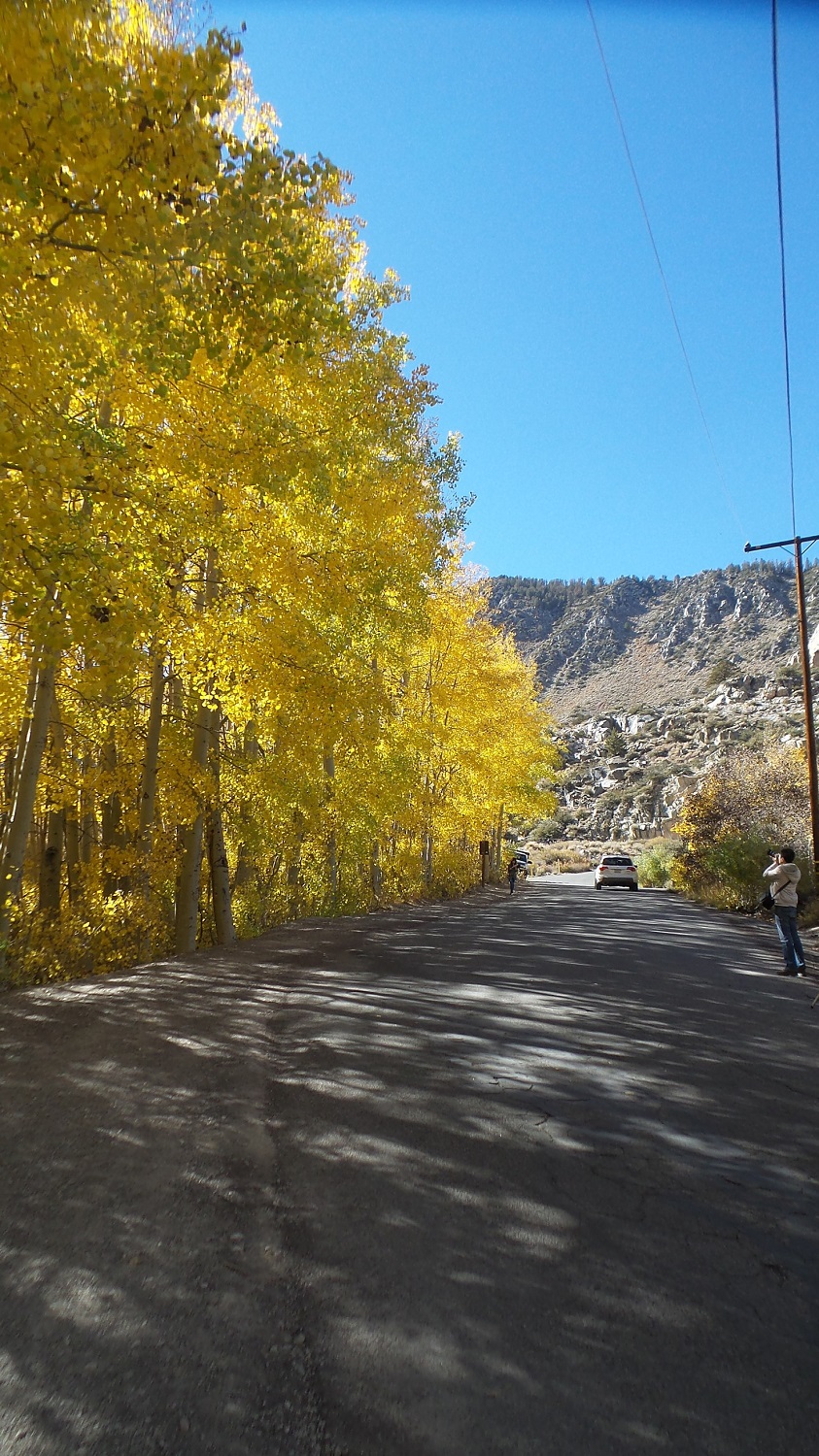 20161009_145208.jpg