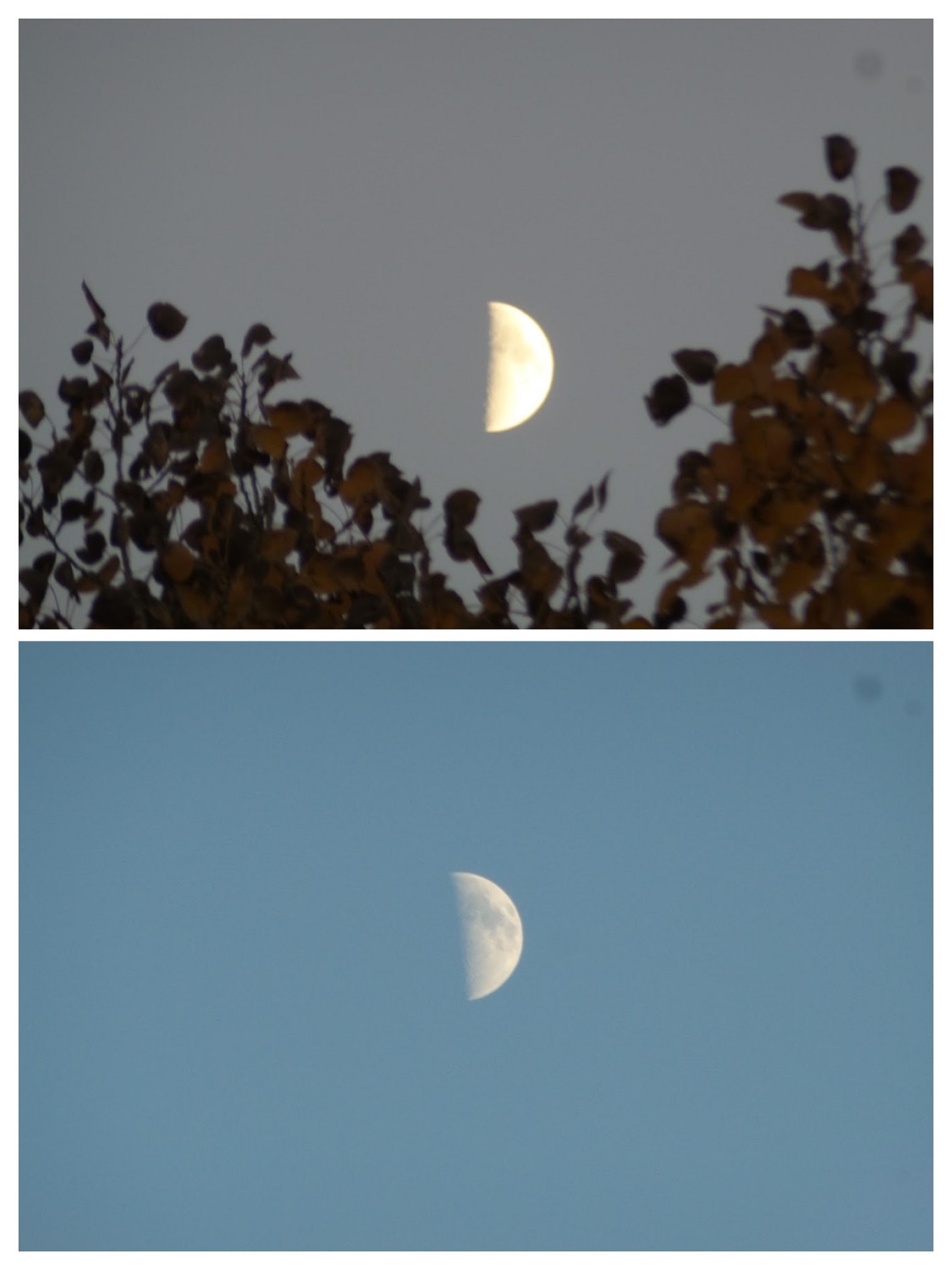 20161008_174857-COLLAGE.jpg