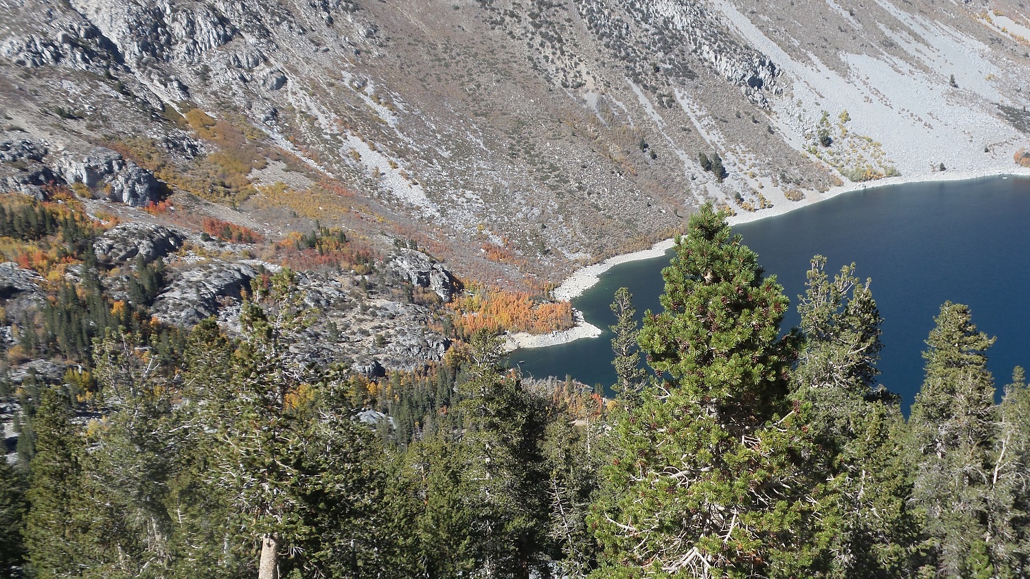 20161009_135455.jpg