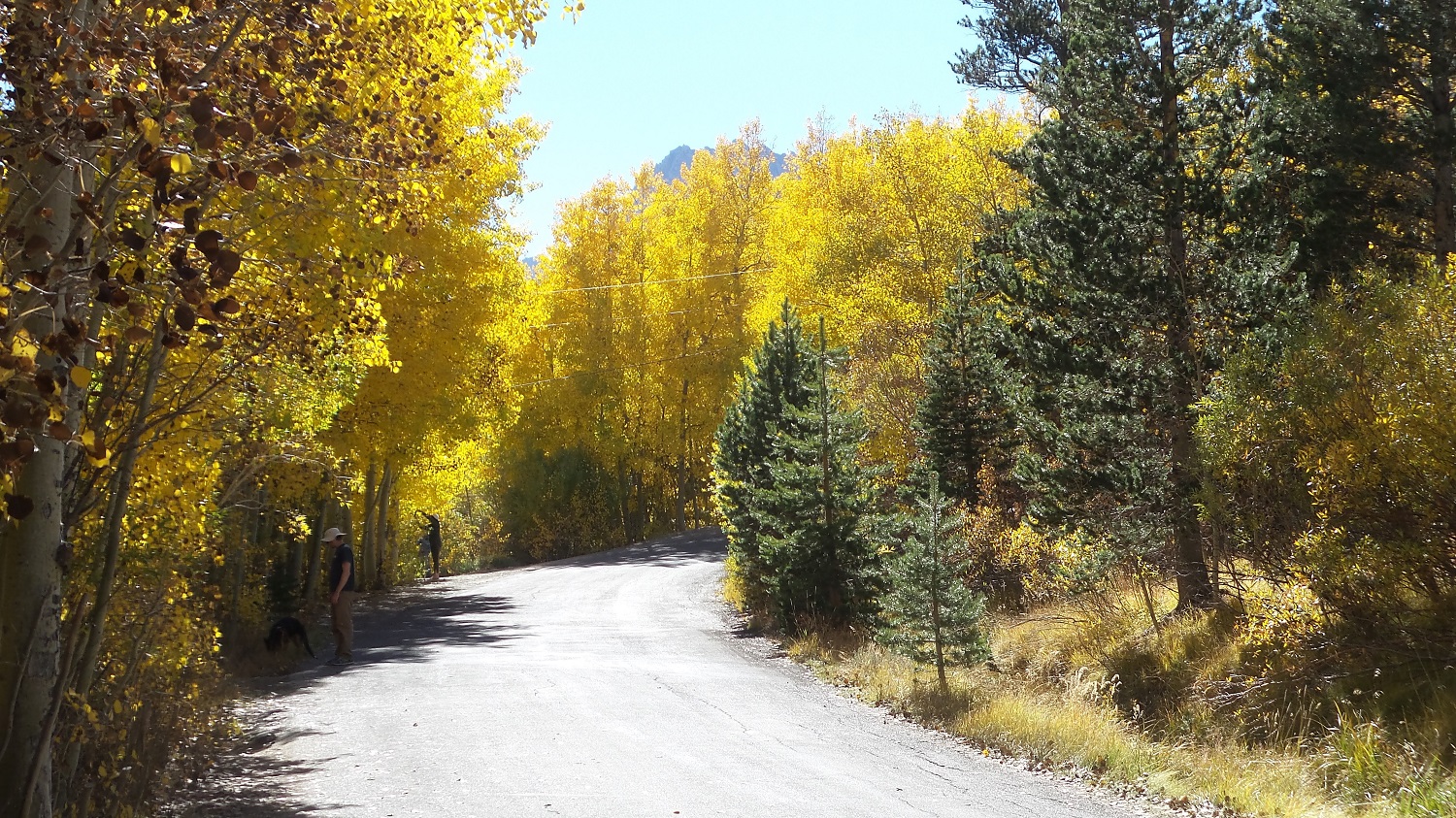 20161009_144926.jpg