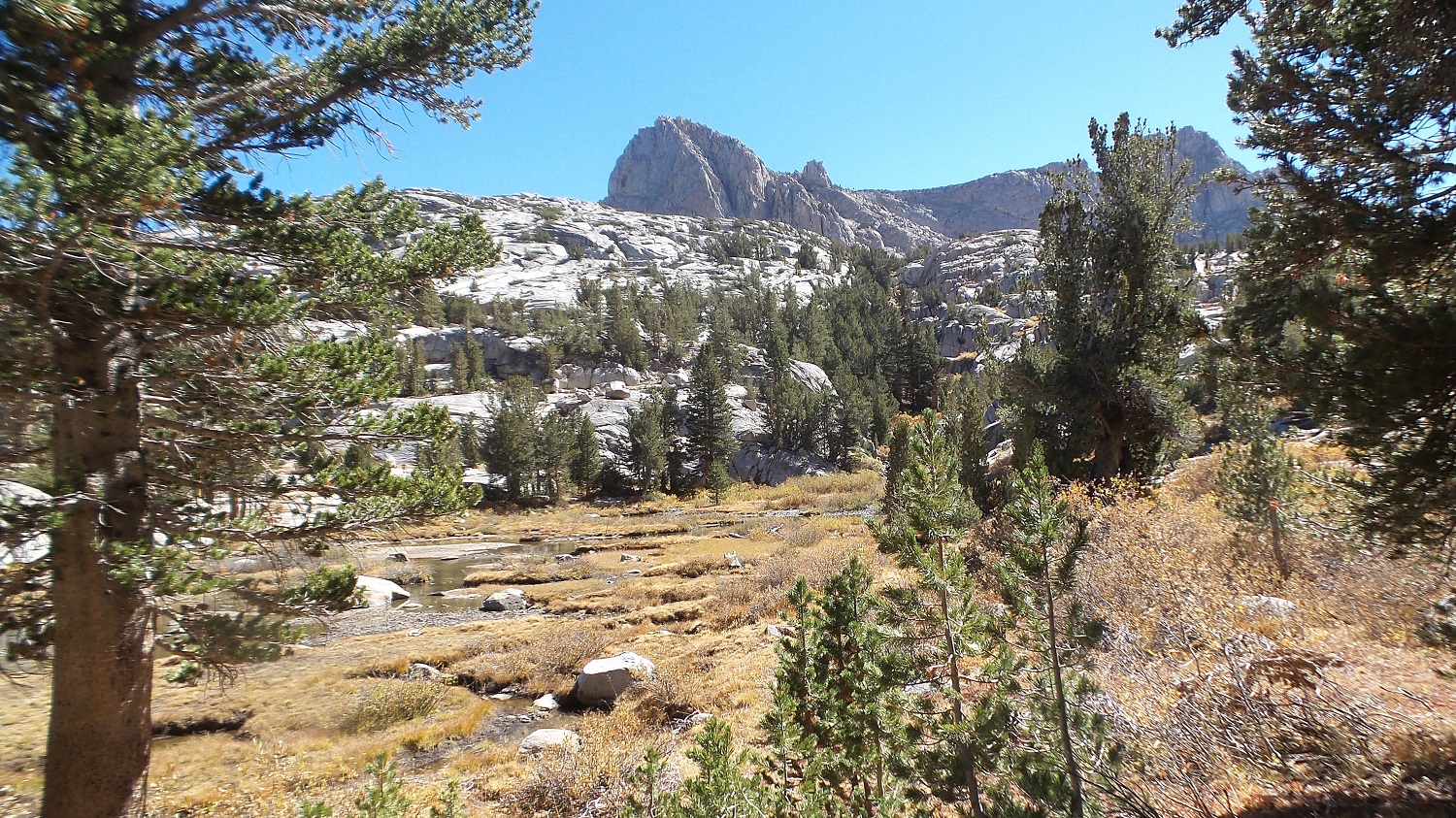 20161009_120731.jpg