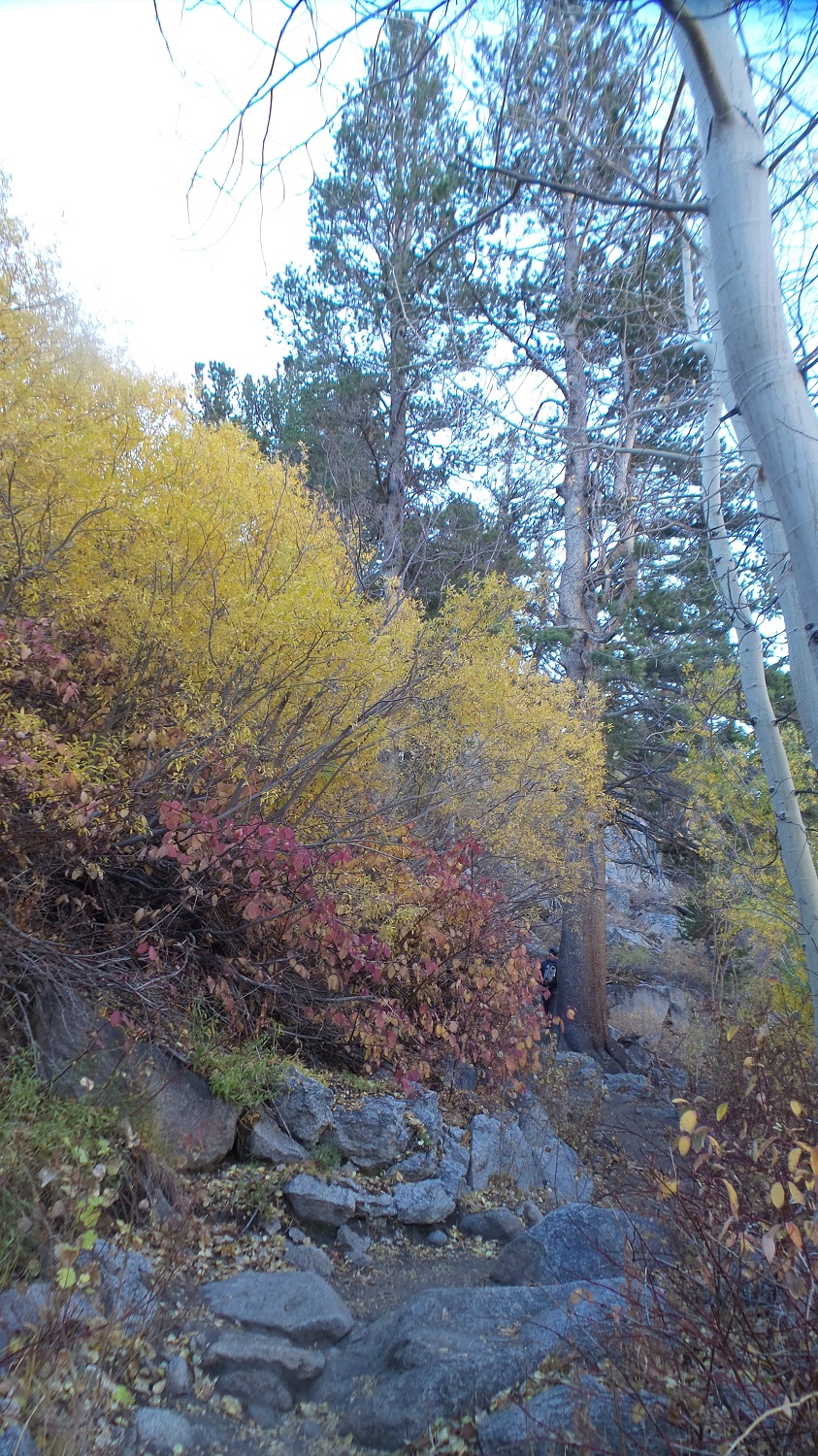 20161009_085919.jpg