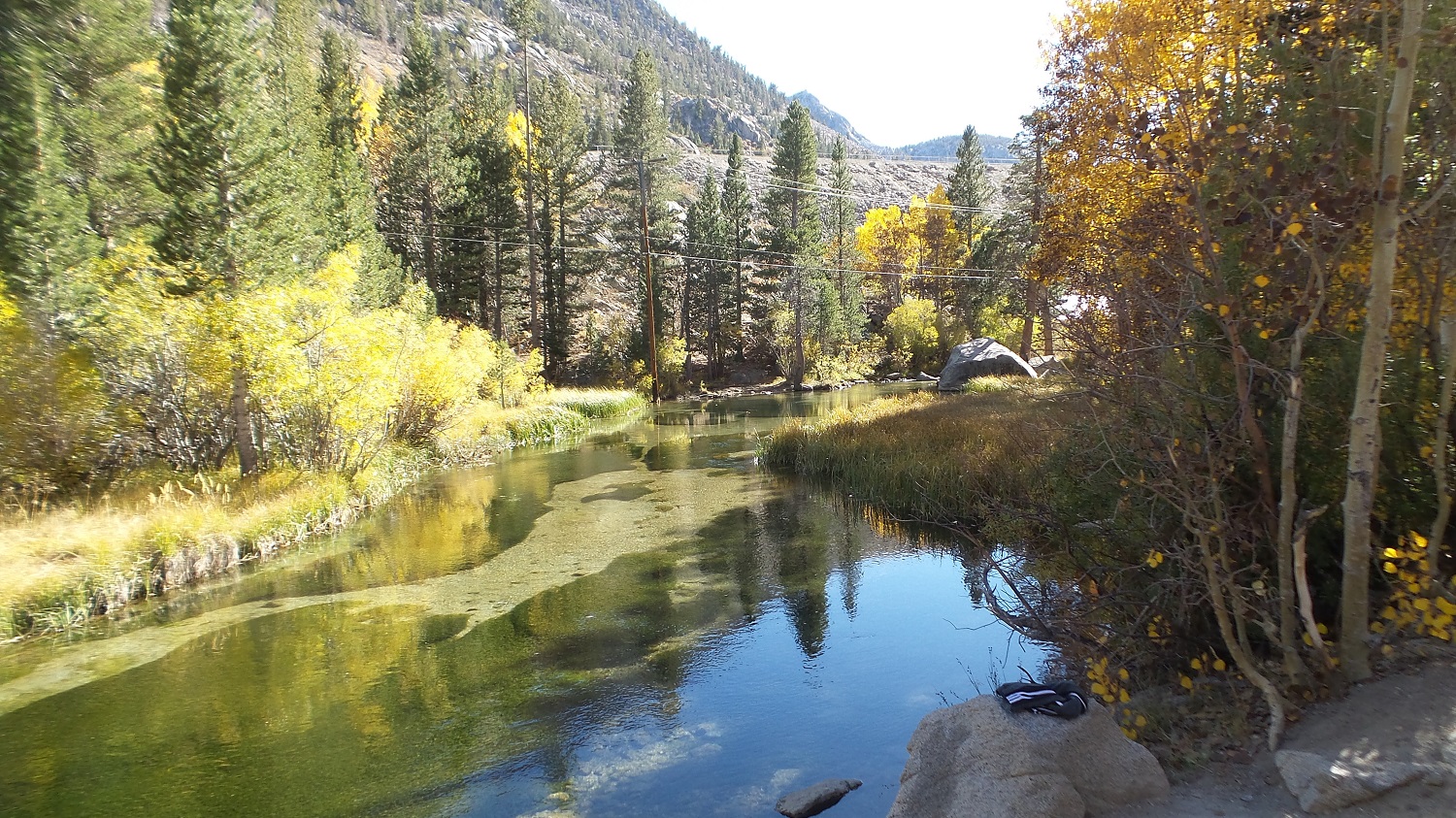 20161009_144858.jpg