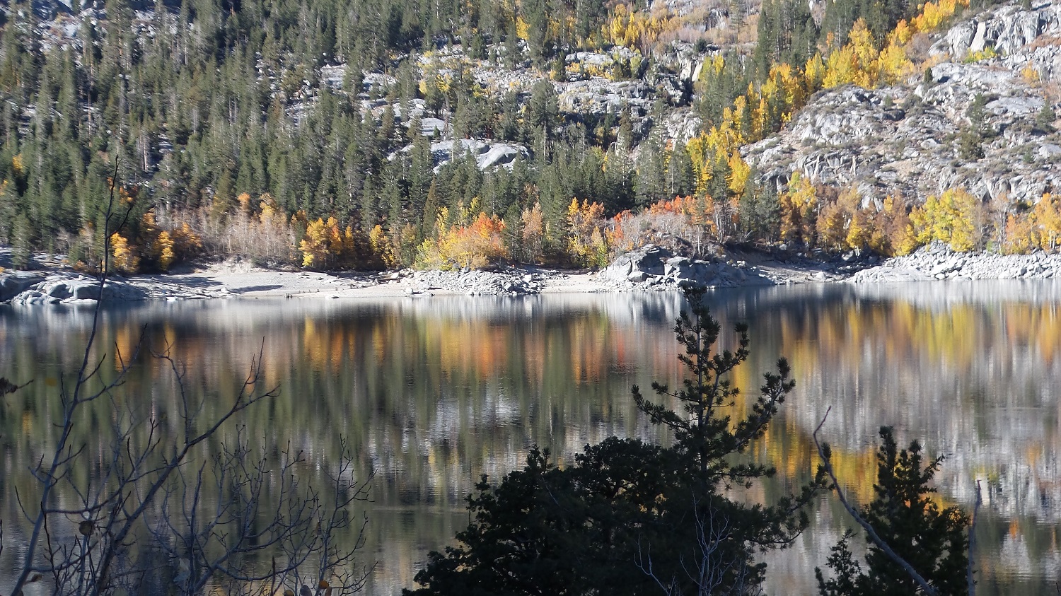 20161009_091504.jpg