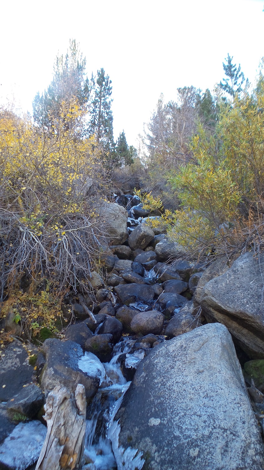 20161009_093110.jpg