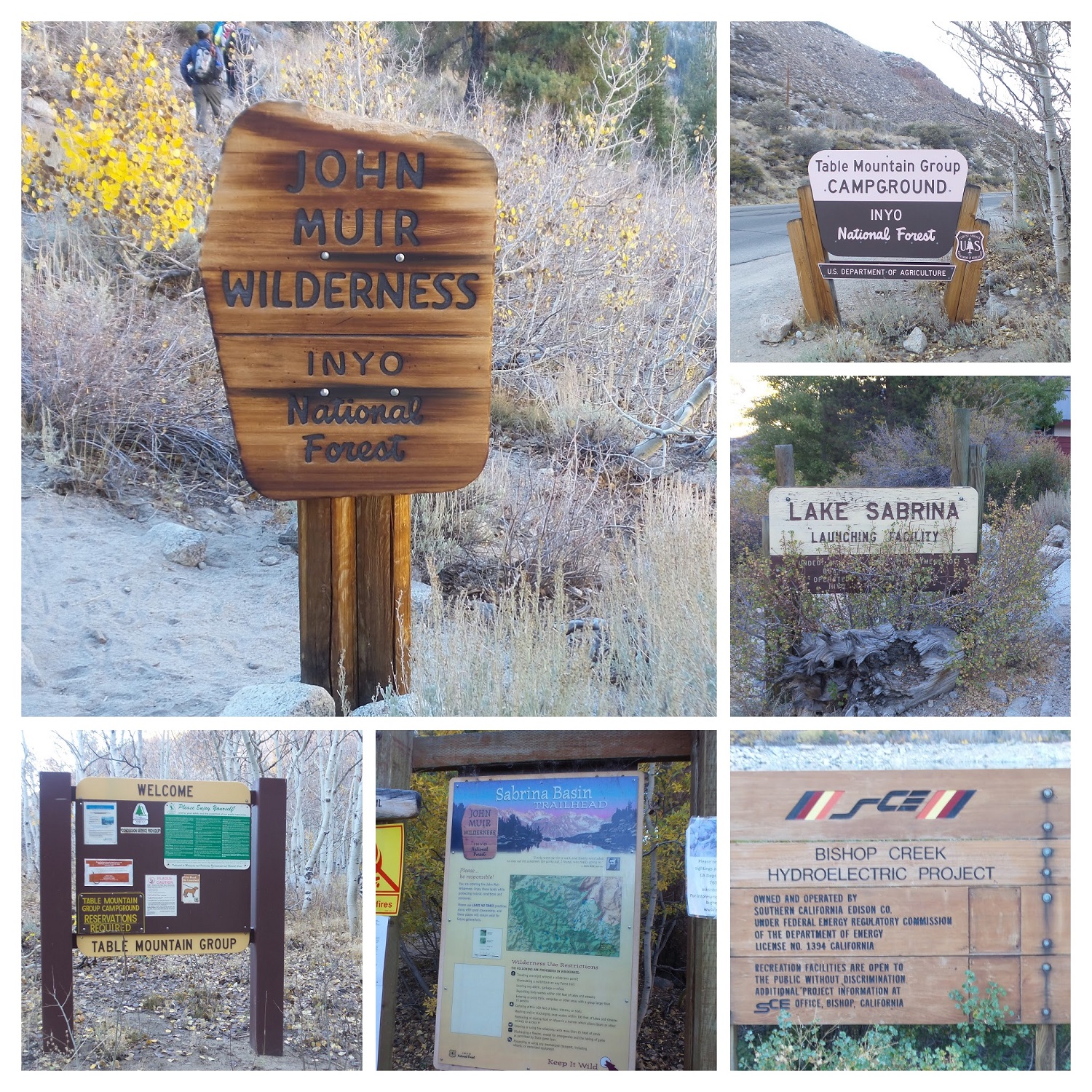 20161008_174815-COLLAGE.jpg